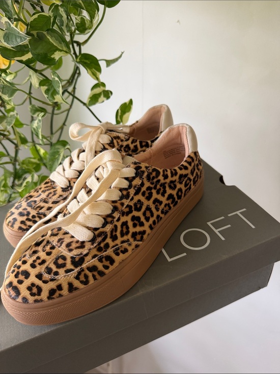LOFT Shoes - LOFT Leopard-Print Low-Top Sneakers - Tan, Black & Cream